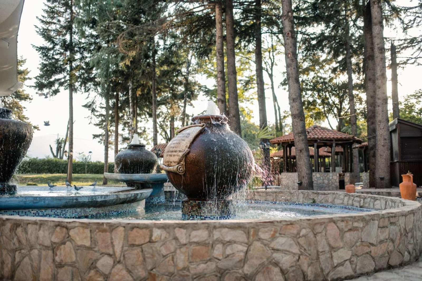 Hotel Drim & Spa ستروغا المظهر الخارجي الصورة